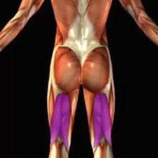 绳与肌电影在线观看,探索人体极限的视觉盛宴 第1张 绳与肌电影在线观看,探索人体极限的视觉盛宴 第1张