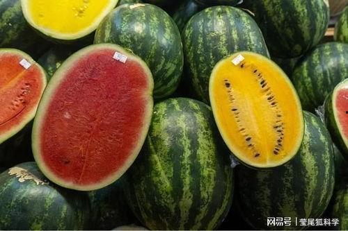 安溪网红吃瓜事件真相,真相背后的网络风波  第3张